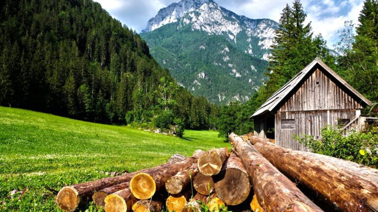 How to Choose a Log Home Building Site